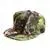Prodigy Snapback Hat